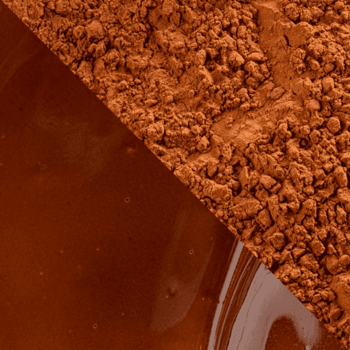 Cacao En Polvo (100 %) Cacao Barry - "plein Arome" 1 Kg - Imagen 3