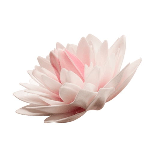 Flor De Oblea Gigante Dekora - Dalia (color Rosado) - Imagen 3