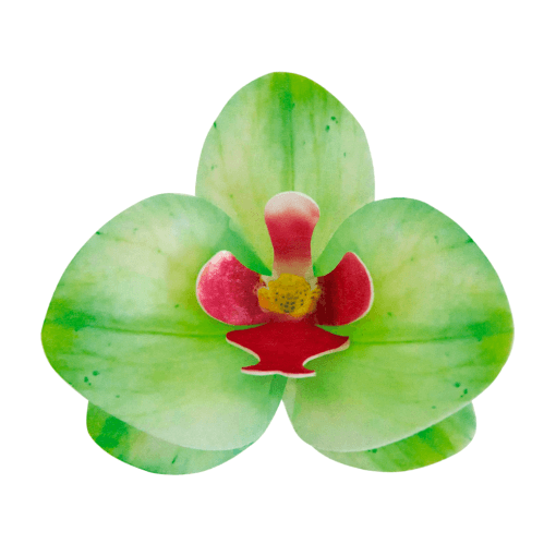 Flores De Oblea Dekora - Orquidea Verde - Imagen 2