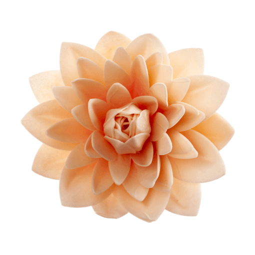 Flor De Oblea Gigante Dekora - Dalia (color Pastel)