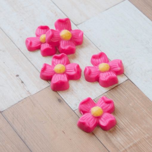Molde Para Chocolate Bwb - Bombon Flores (12 Cavidades)