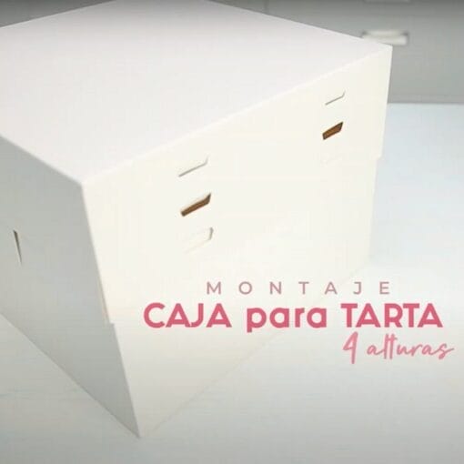 Caja Para Tarta 4 Alturas Ajustables - 45 X 35 Cm - Imagen 4