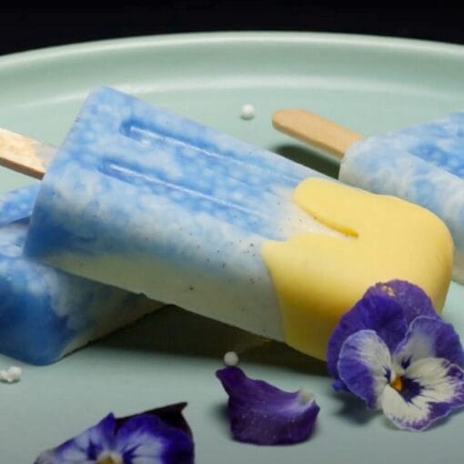 Molde Silicona Para Helado "mini Vintage" Silikomart - Imagen 2