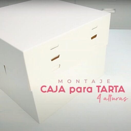 Set 10 Cajas Para Tarta 4 Alturas Ajustables - 30 Cm