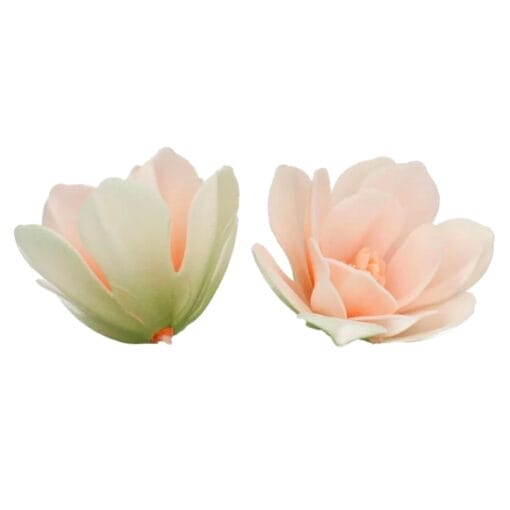Flores De Papel Comestible Funcakes - Magnolia Blanca Grande - Imagen 3