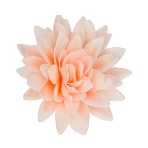Flor De Papel Comestible Funcakes - Peonia Naranja Ombre Grande - Imagen 2
