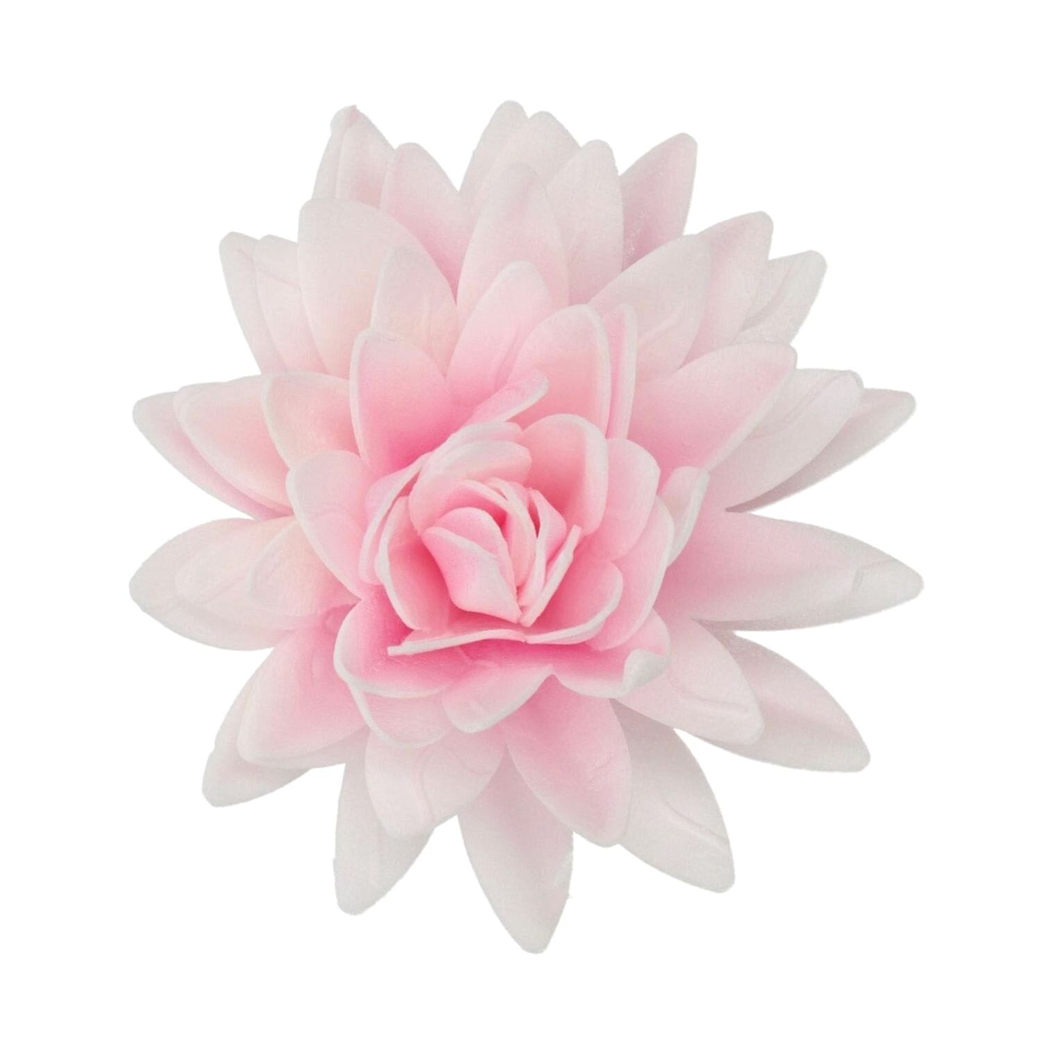 Flor De Papel Comestible Funcakes - Peonia Rosa Ombre Grande